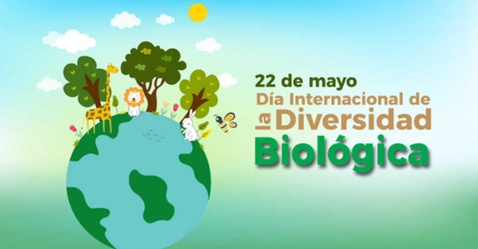 22 – mayo Día Internacional de la Diversidad Biológica