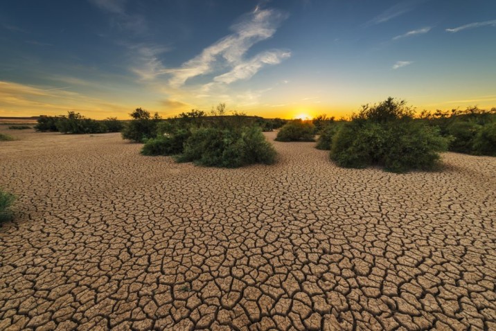 17 – junio Día Mundial de Lucha contra la Desertificación y la Sequía
