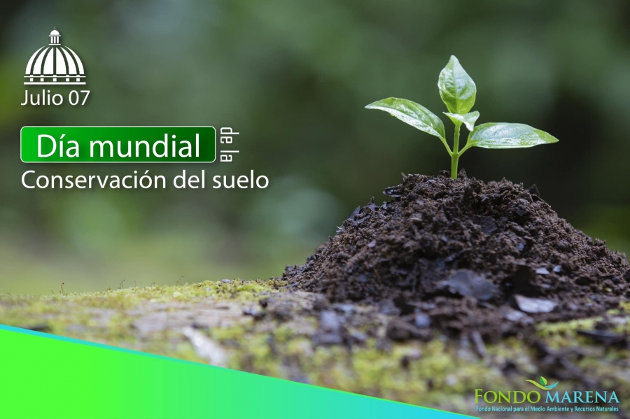 07 – julio Día Mundial de la Conservación del Suelo